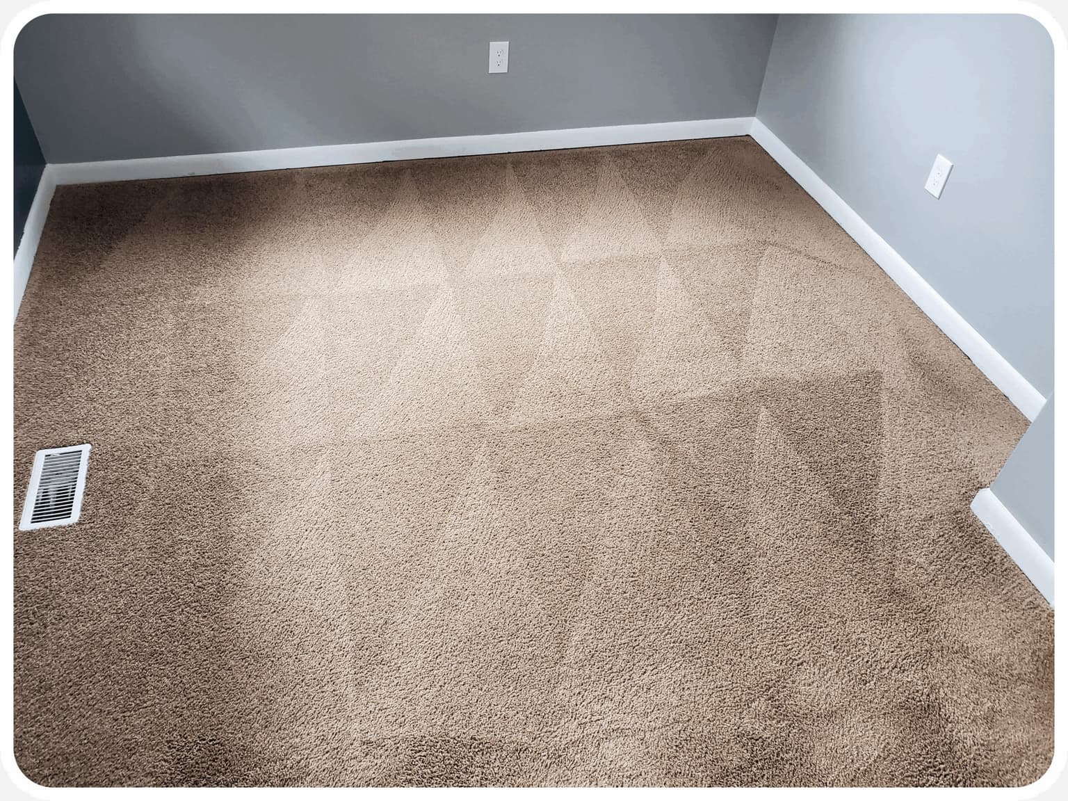 Carpet Cleaning